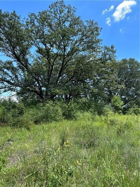 0 Hampton Rd unit 24516393, Mobile, AL 36608 - photo 1