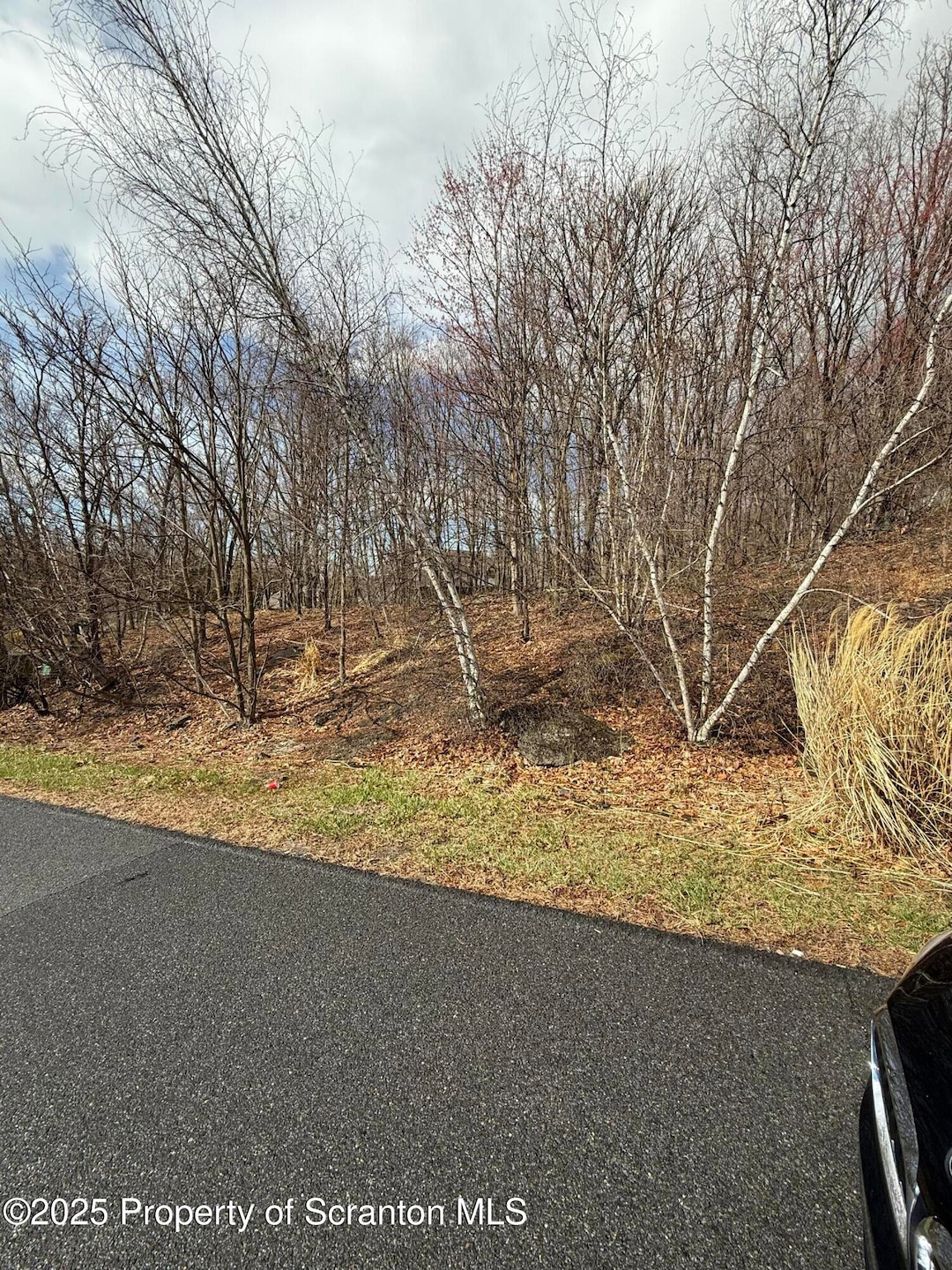 16 Cherry St, Scranton, PA 18505 - photo 1