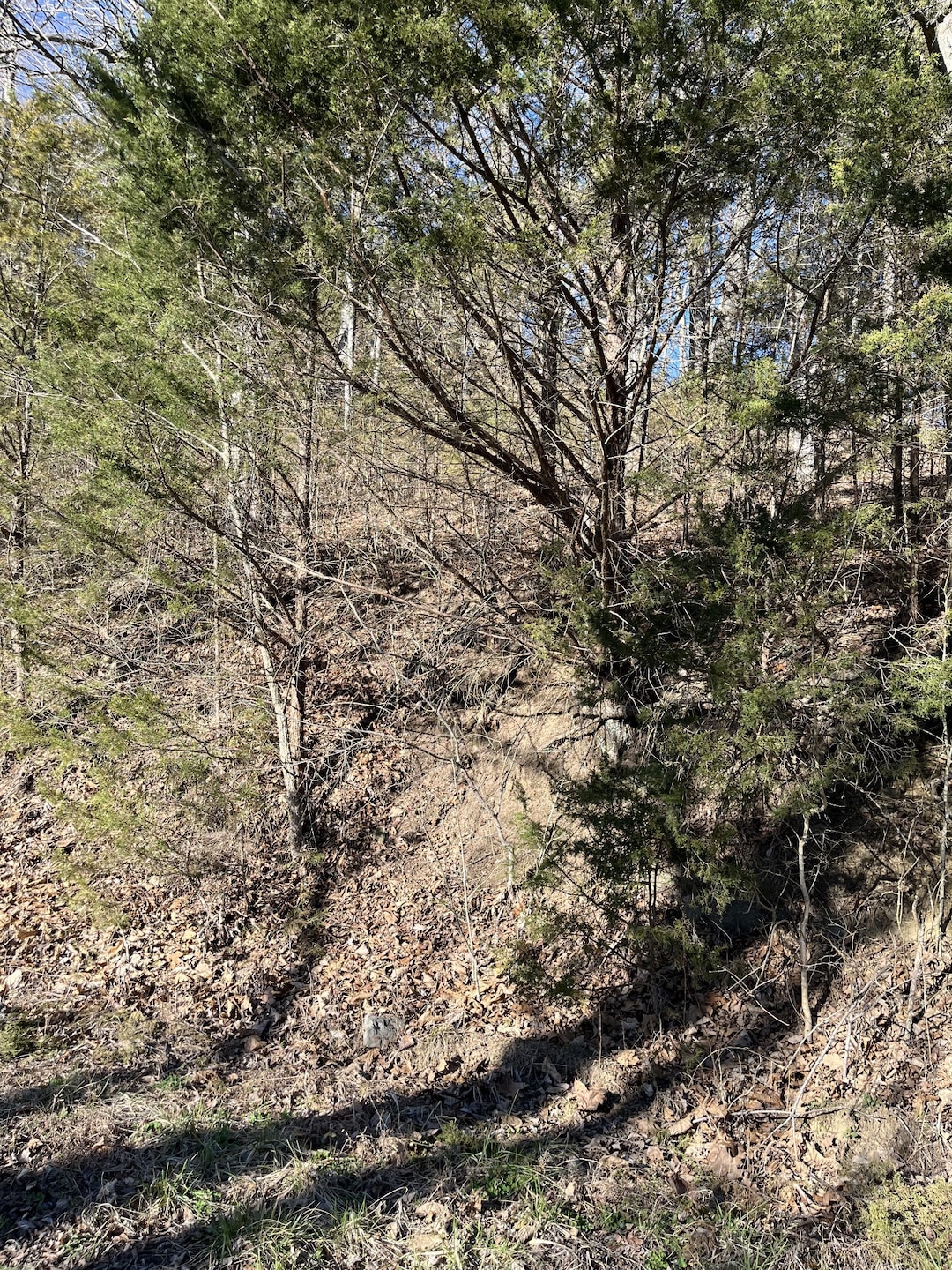 0 Davis Hollow Rd unit RTC2798425, Dowelltown, TN 37059 - photo 1