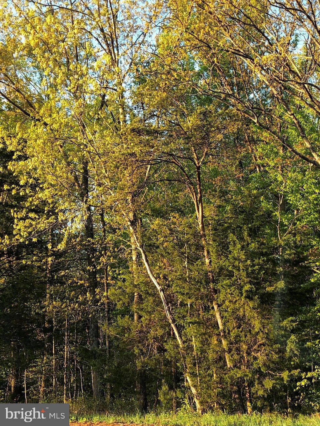 Under Contract $300,000