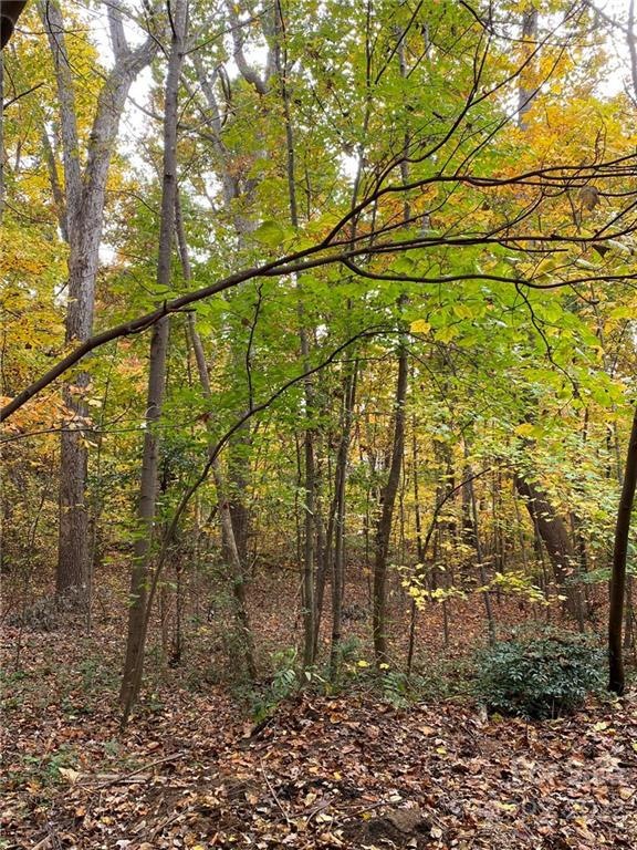 127 Trillium Dr unit 31, Statesville, NC 28625 - photo 1