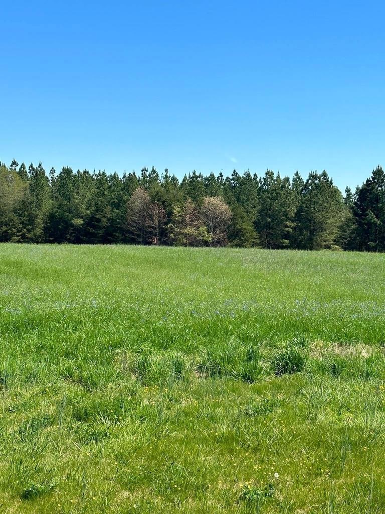 000 Deer View Rd, Gretna, VA 24557 - photo 1