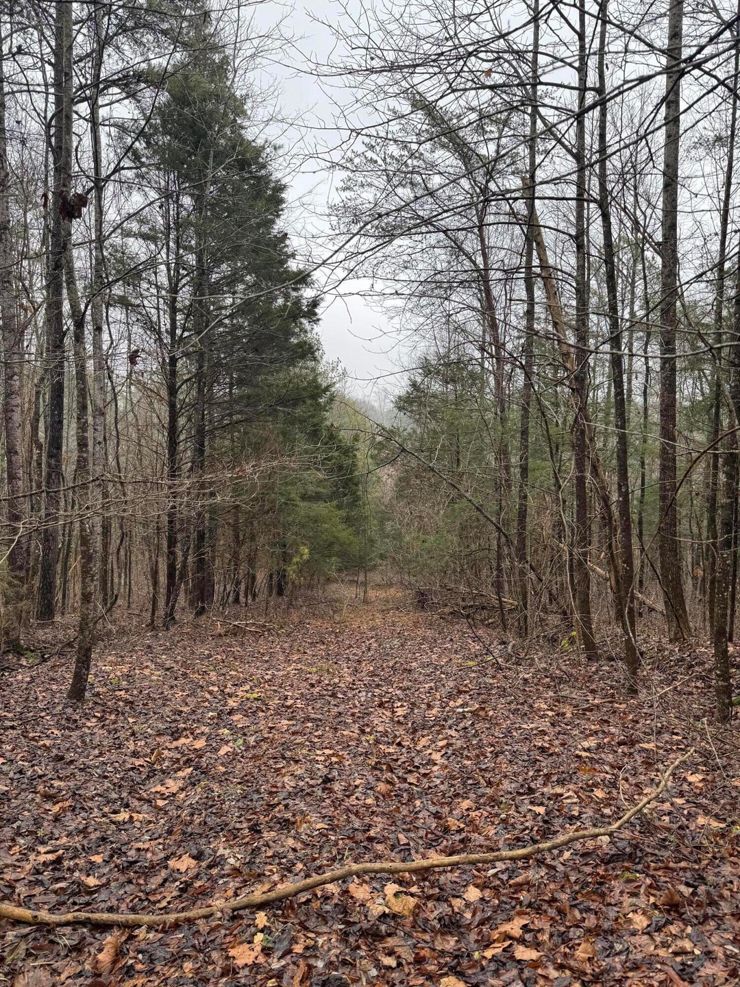 Sold $34,500 • Co-Listing Agent