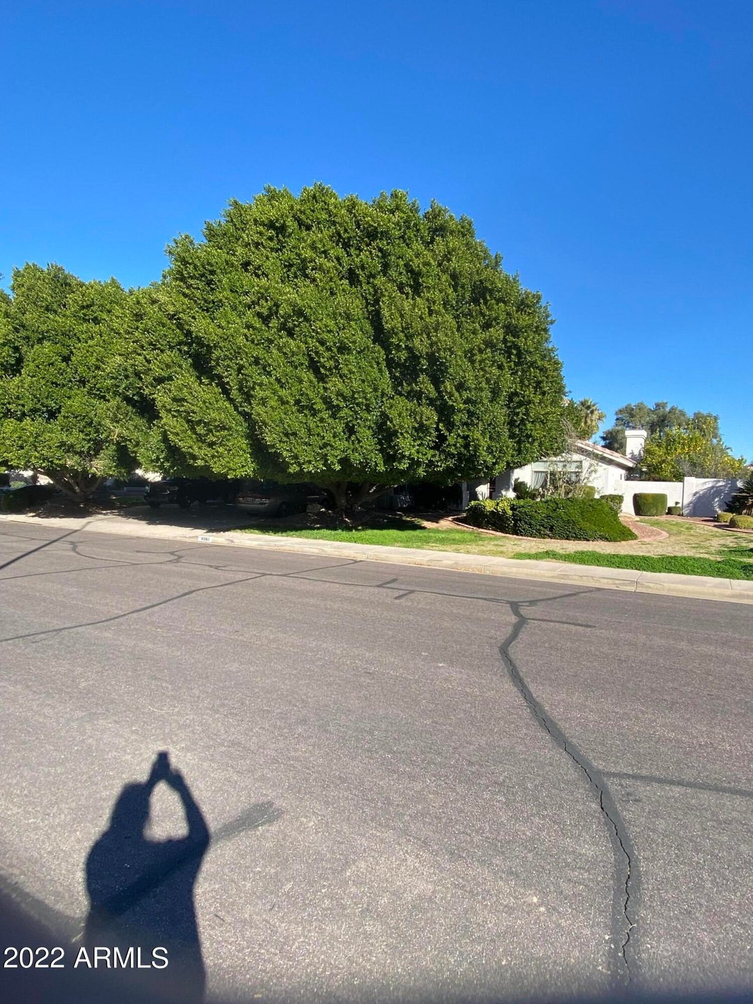Encanto From Front