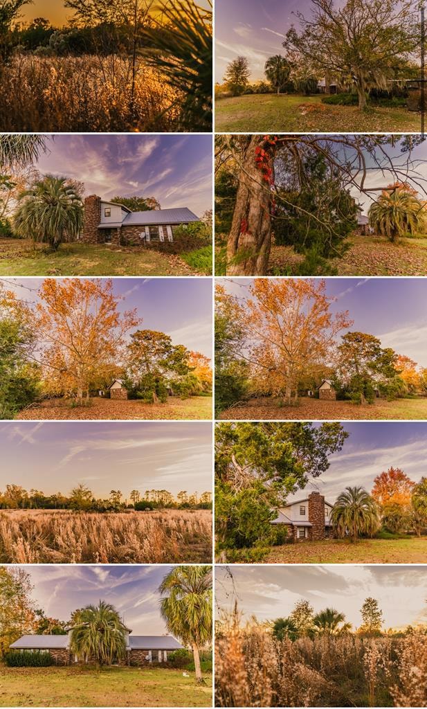 2351 NW 110th St, Chiefland, FL 32626 - photo 1