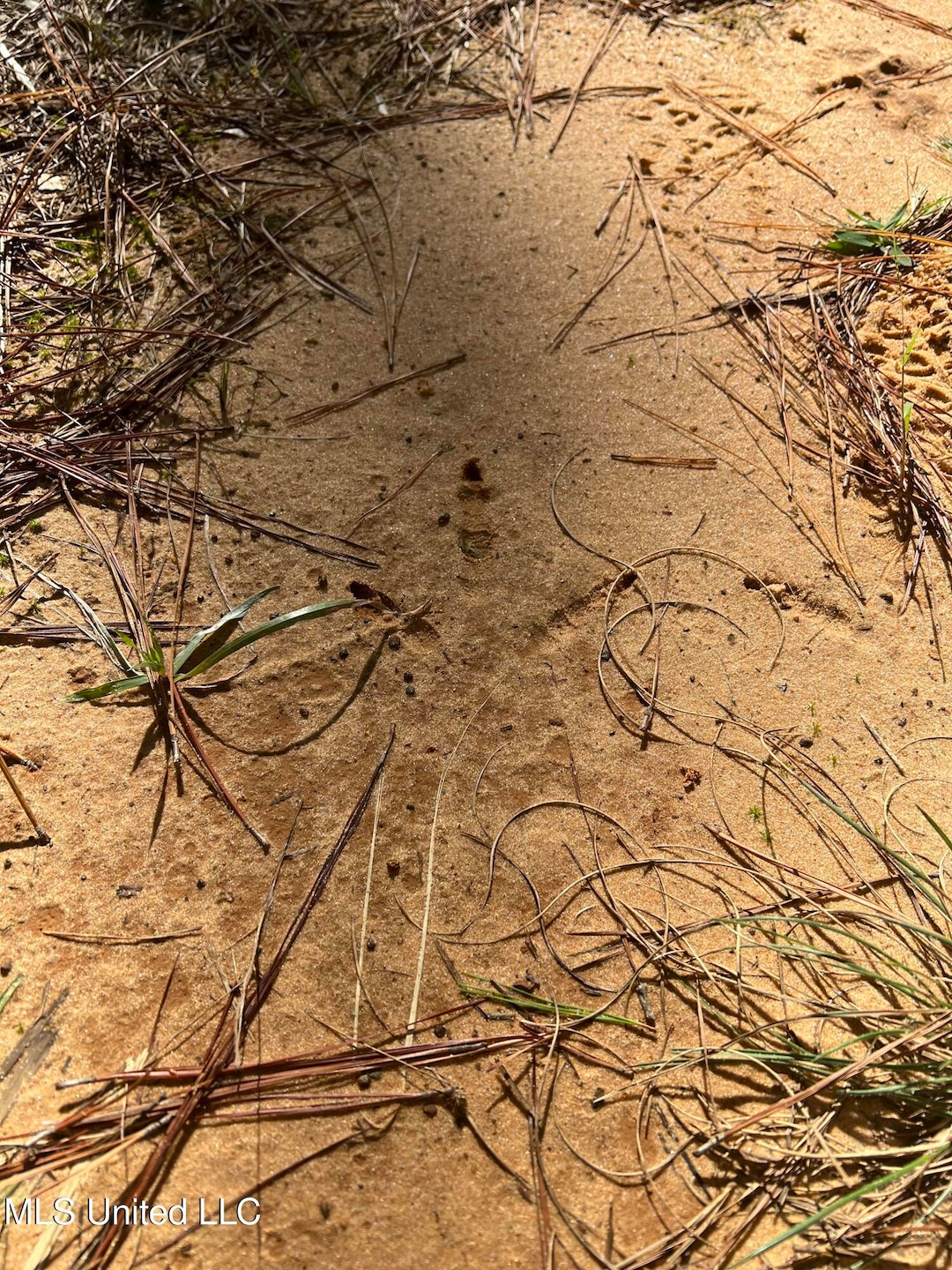613 N of Co, Shubuta, MS 39360 - photo 1