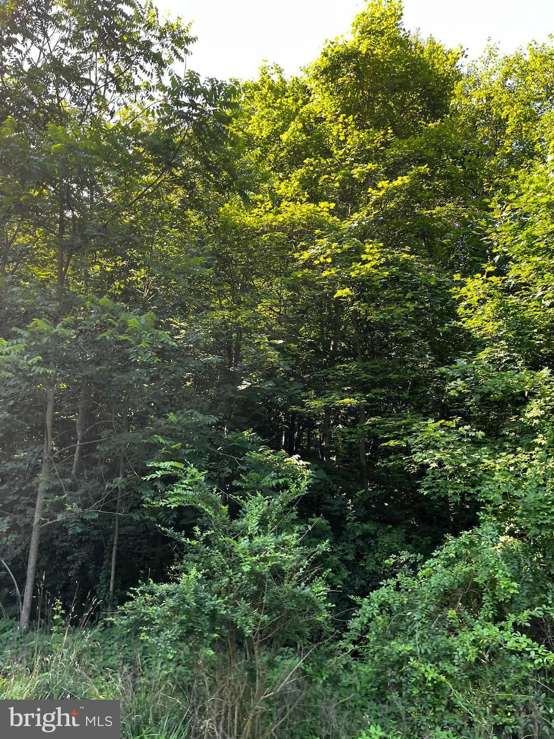 0 Pine Crest Rd, McClure, PA 17841 - photo 1