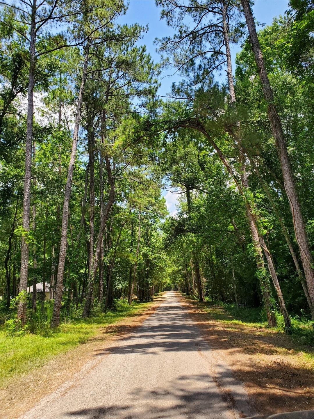 0 Sweet Gum Dr unit 36517348, Hockley, TX 77447 - photo 1