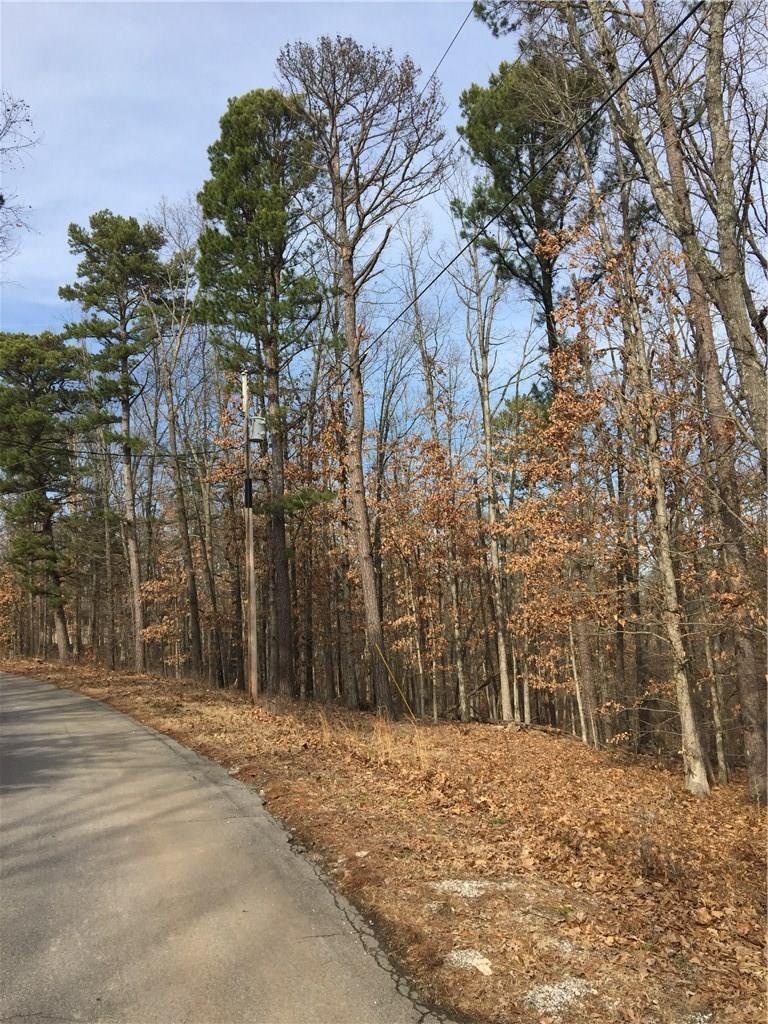 0 St Austell Dr unit 1104423, Bella Vista, AR 72714 - photo 1