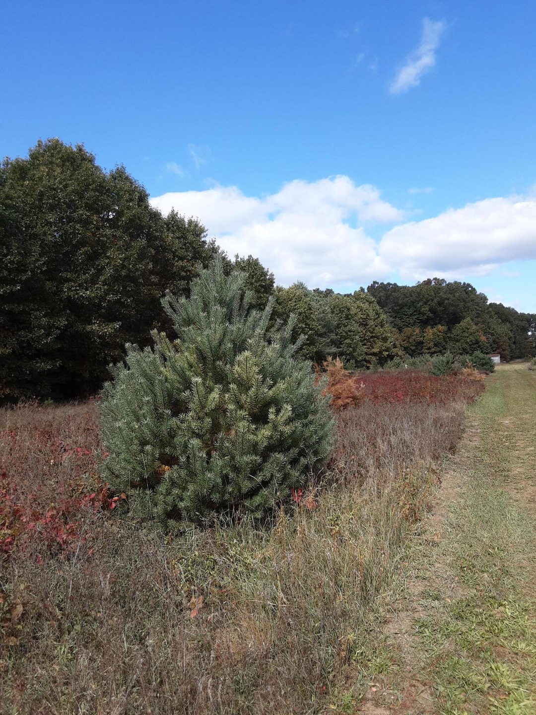 604.9 E.Van Deinse Ave.