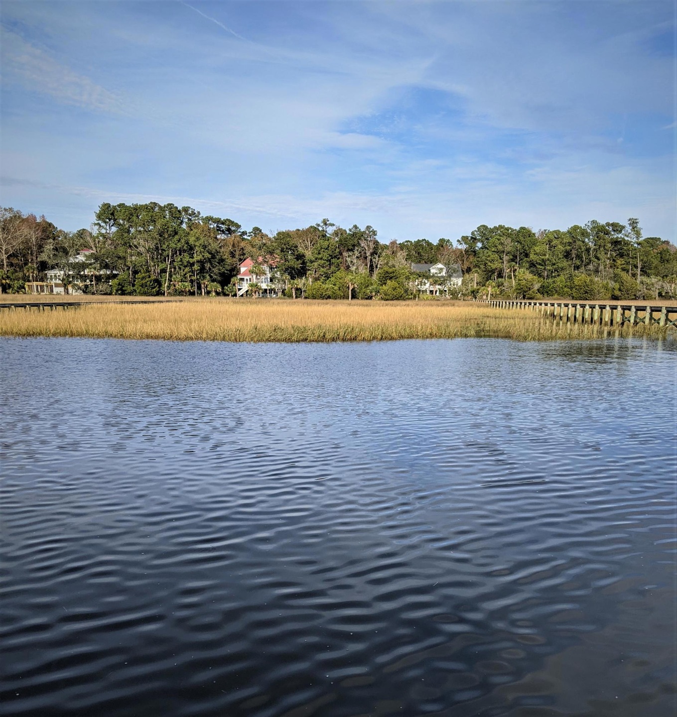 1456 Dupree Creek Rd, Awendaw, SC 29429 - photo 1