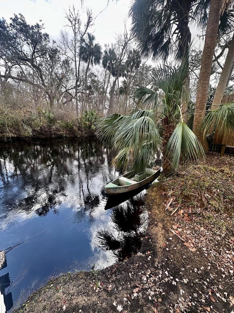 1724 River Rd, Steinhatchee, FL 32359 - photo 1