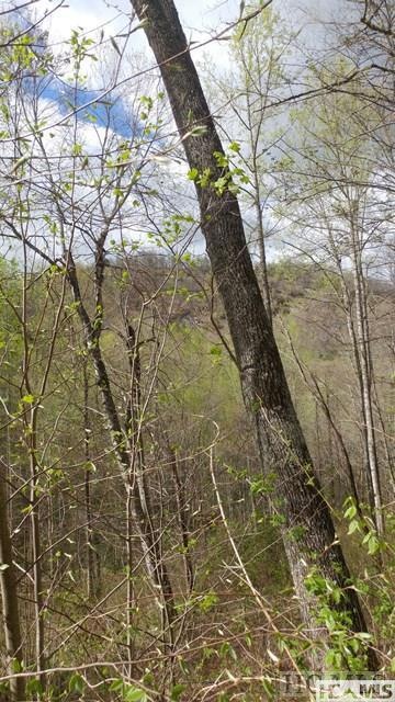 4567 4 5 6 7 Captiva Mountain Drive Cullowhee Nc 28723 Dr, Cullowhee, NC 28723 - photo 1