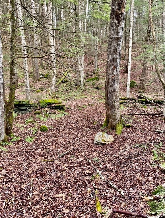 0 Stage Rd unit 72973282, Cummington, MA 01026 - photo 1