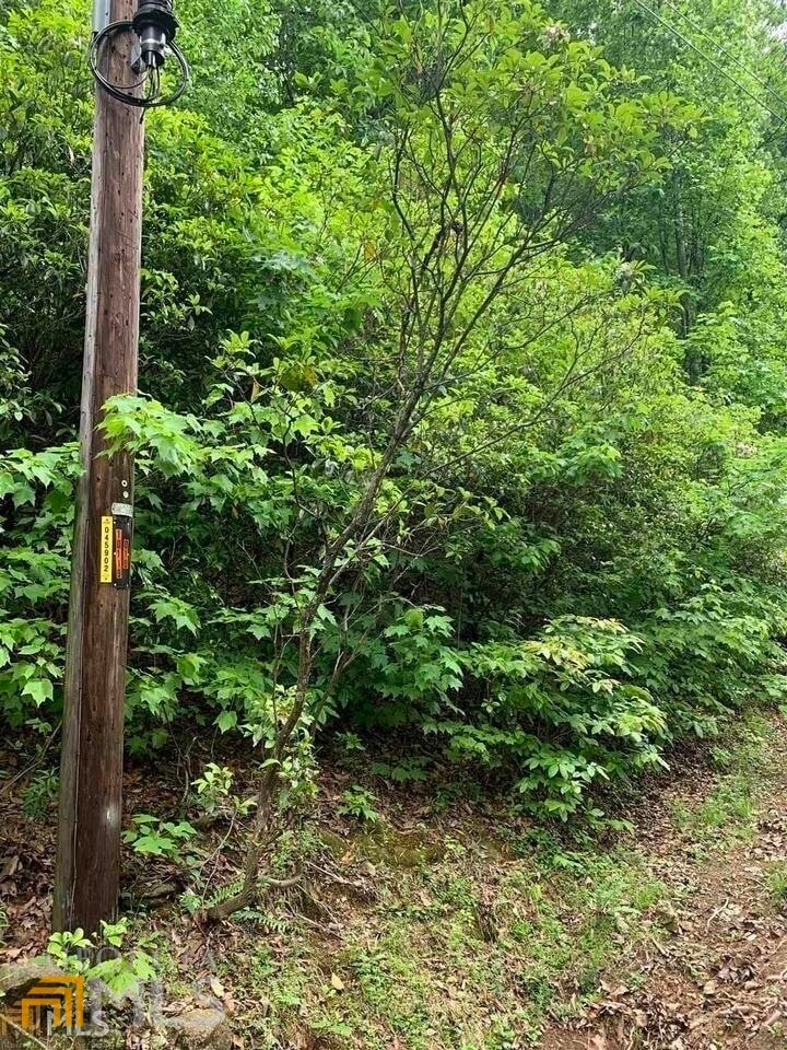 0 E Matterhorn Dr, Sautee Nacoochee, GA 30571 - photo 1