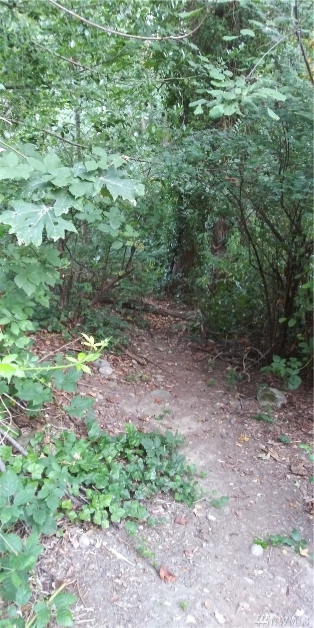 4447 S 148th St, Tukwila, WA 98168 - photo 1