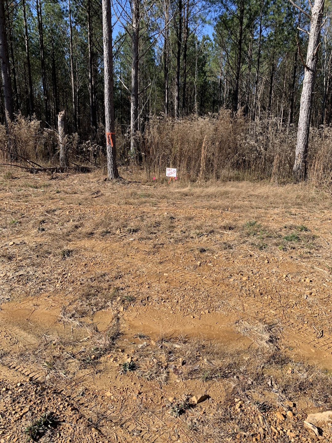 230 Fernwood Dr, Hohenwald, TN 38462 - photo 1