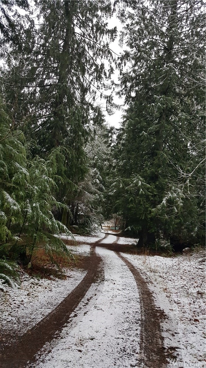 37317 W Lake Walker Dr SE, Enumclaw, WA 98022 - photo 1