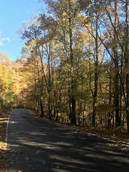 Beautiful view lot in Bent Tree in North Georgia. 