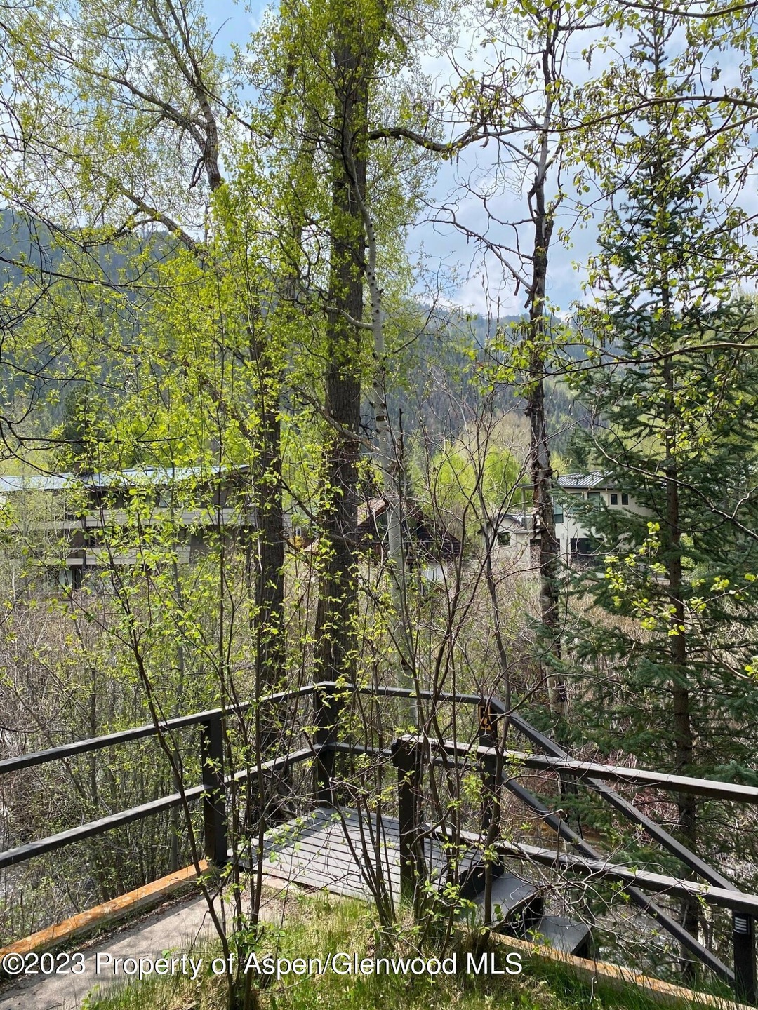 Podolak