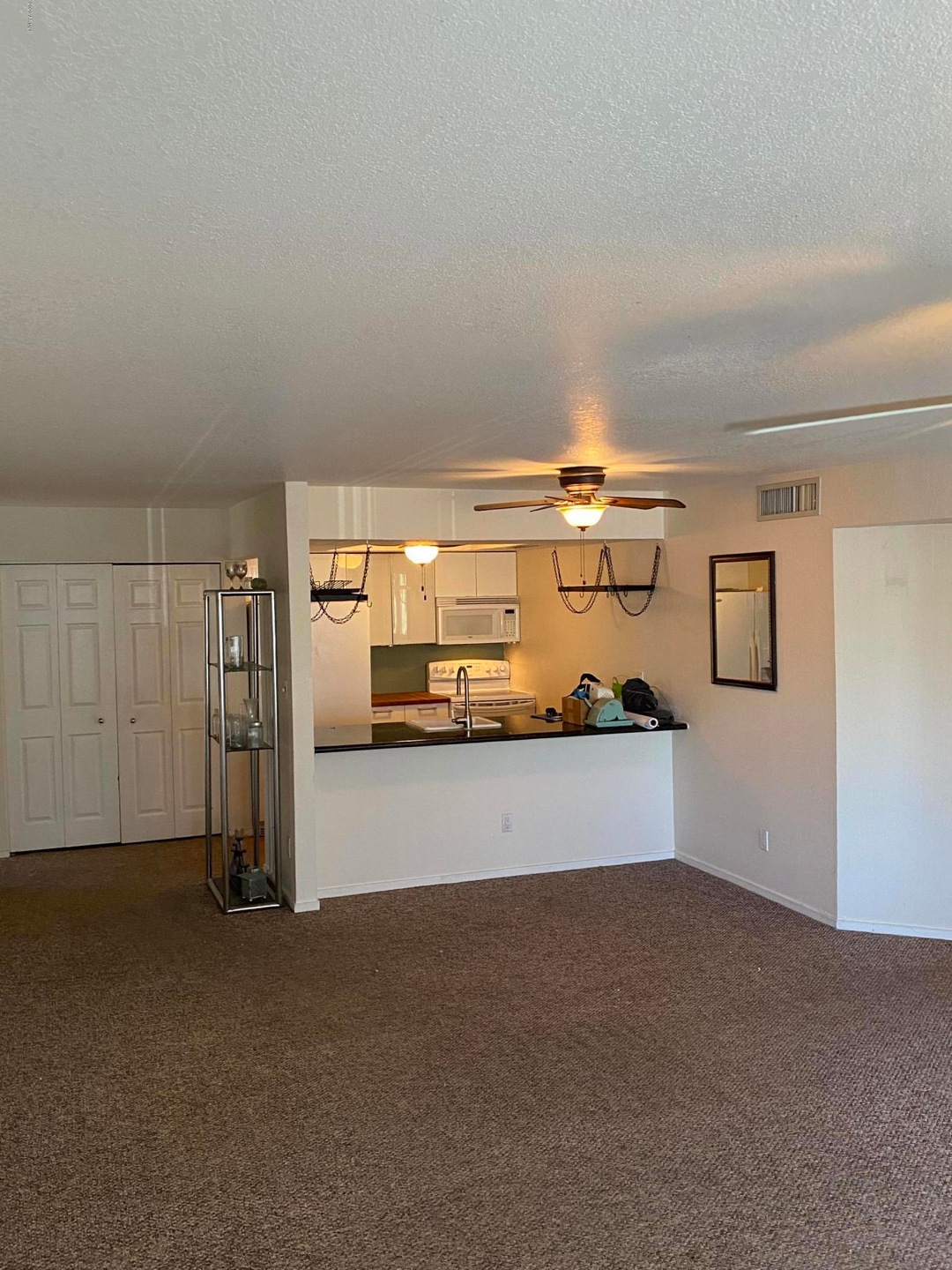 HUGE living area into kitchen