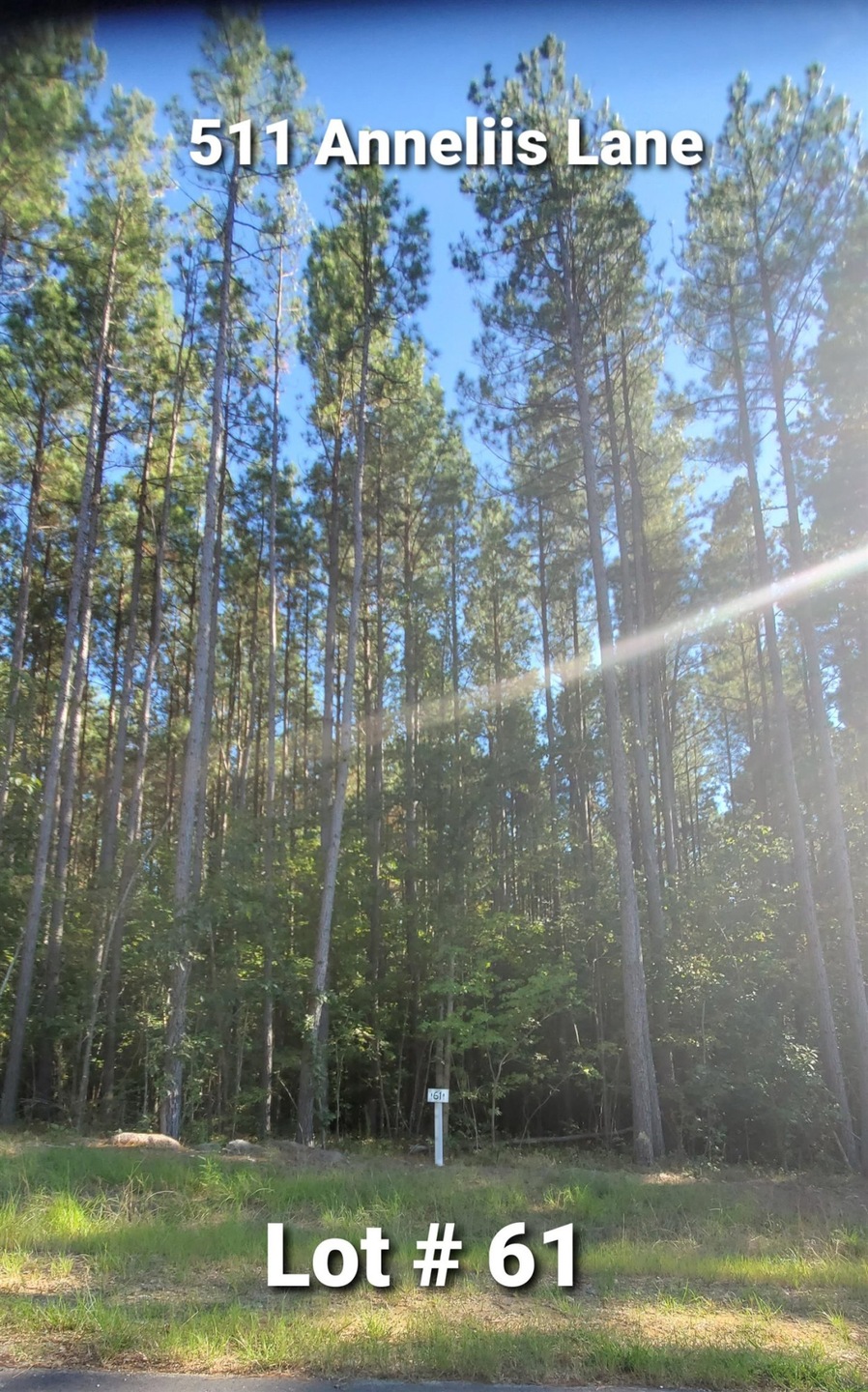 511 Anneliis Ln, Siler City, NC 27344 - photo 1