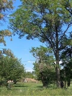 350 W 200 S, Parowan, UT 84761 - photo 1