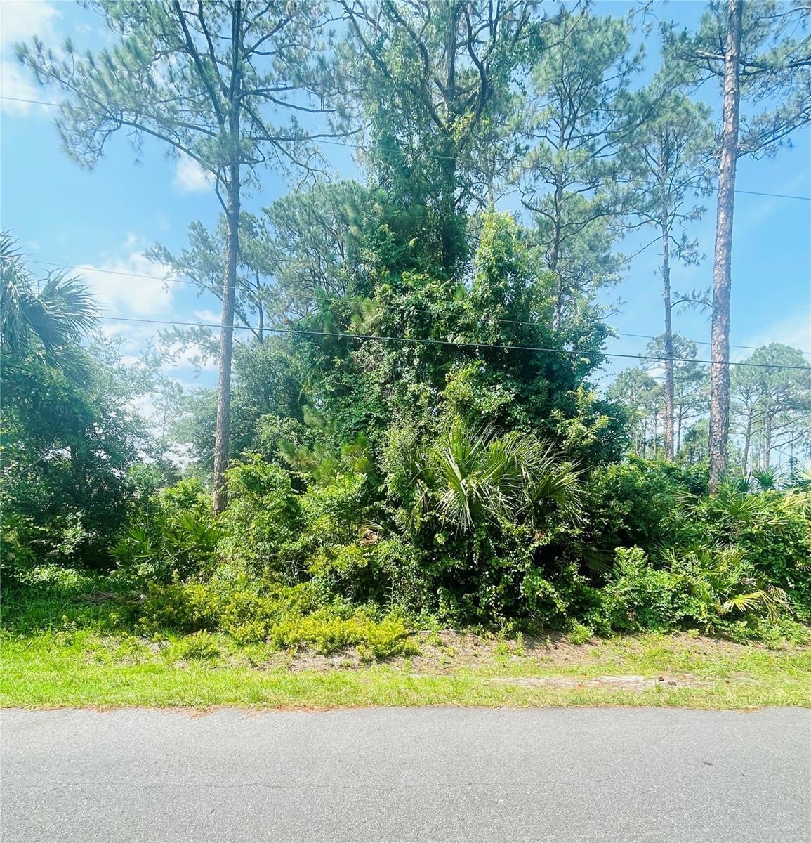 Sold $59,000 • Co-Listing Agent