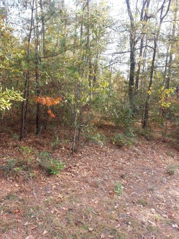 0 Dorsey Dr unit 380989, Harlem, GA 30814 - photo 1