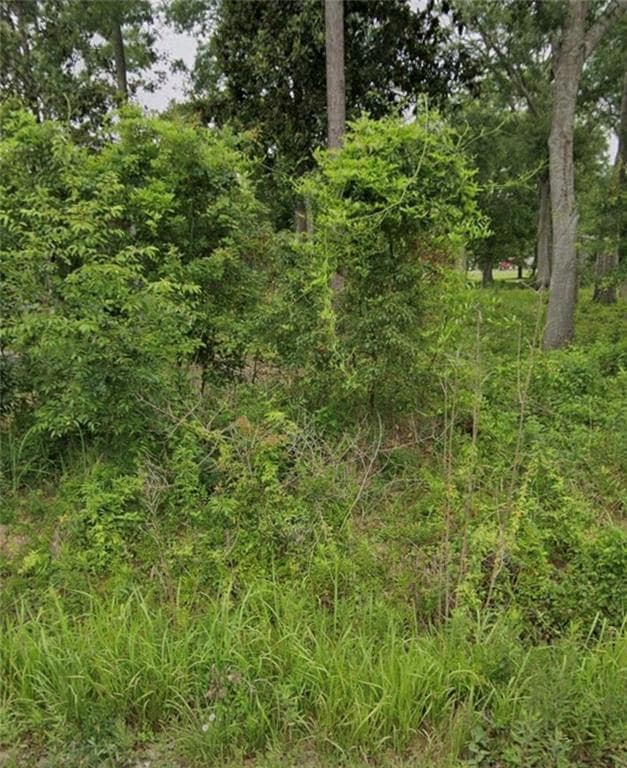 0 Easyway St, Irvington, AL 36544 - photo 1