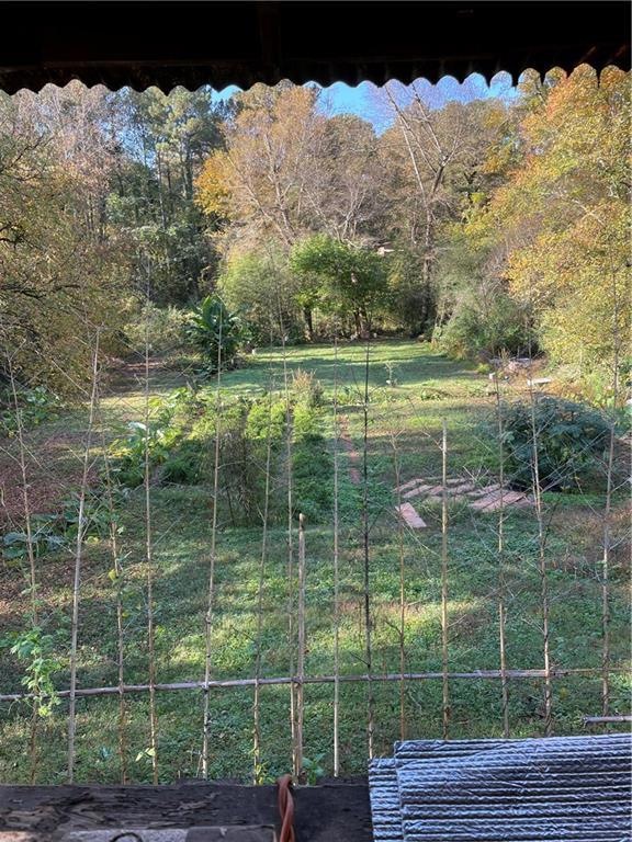 View of backyard