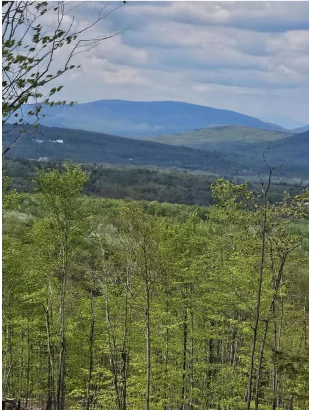 For Sale $249,000 • Co-Listing Agent