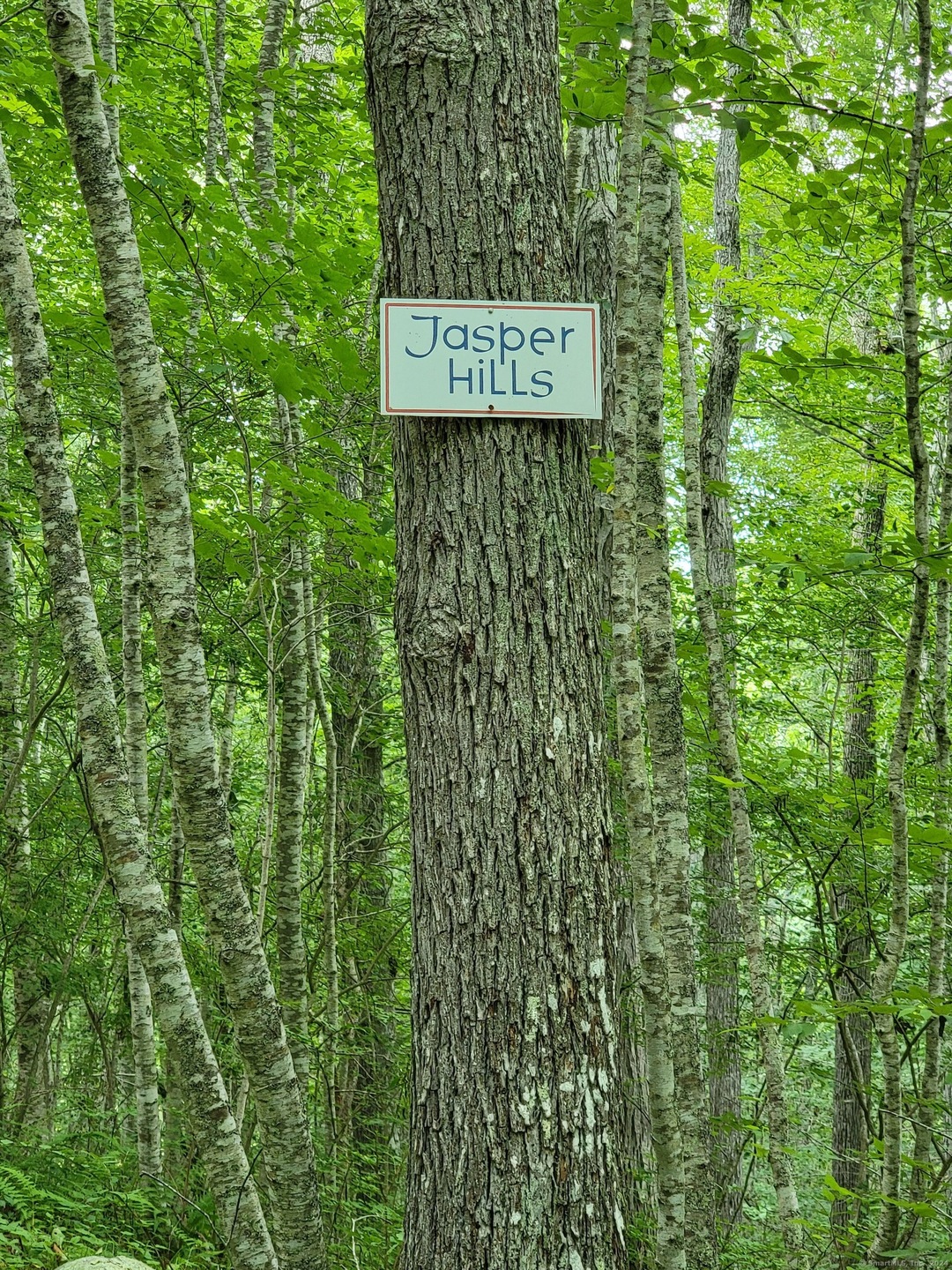 96 Beaver Brook Rd, Lyme, CT 06371 - photo 1