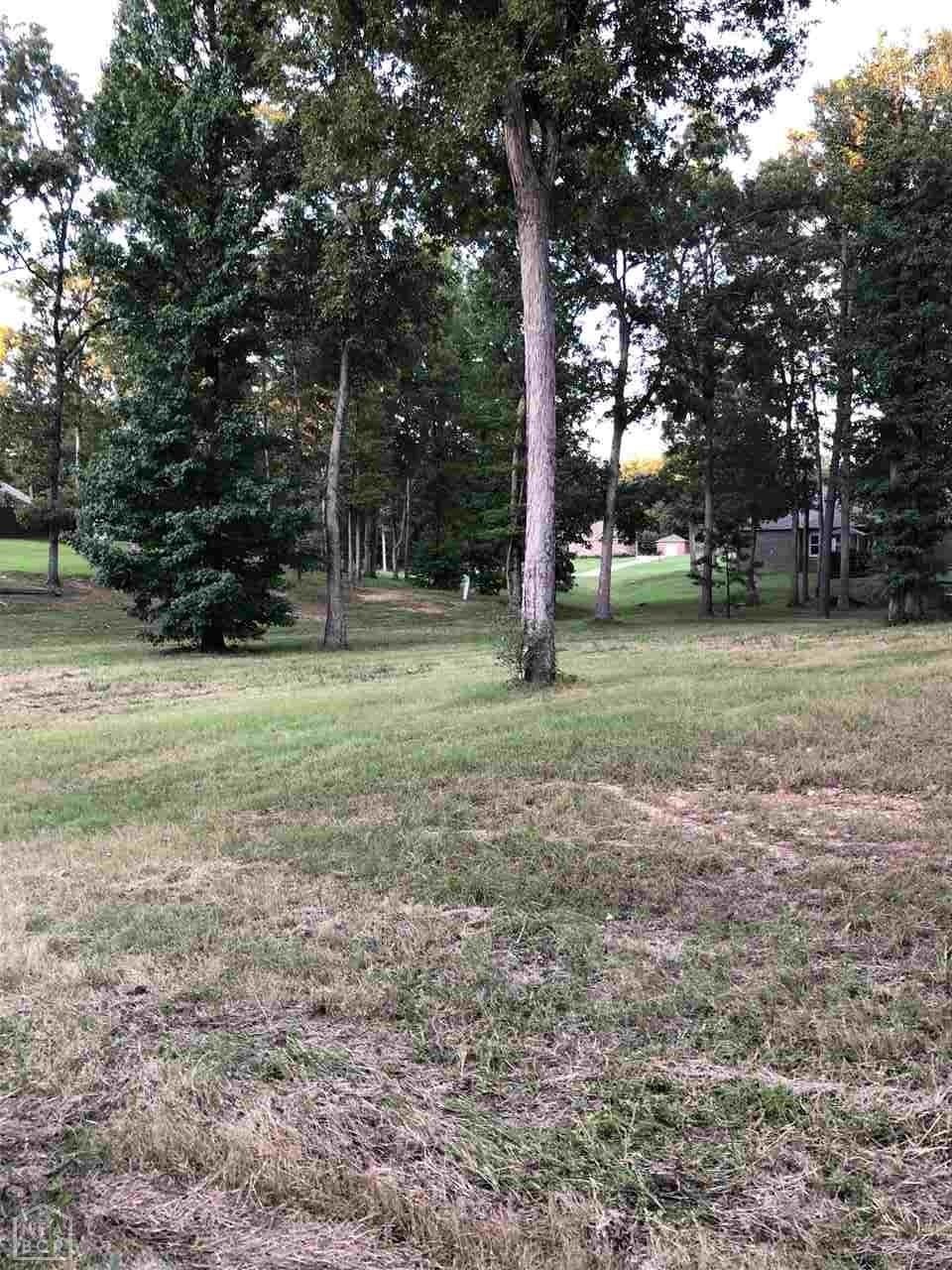 19 Tahoe Village, Jonesboro, AR 72405 - photo 1