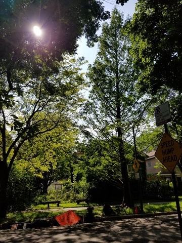 4832-34 N Leavitt St, Chicago, IL 60625 - photo 1