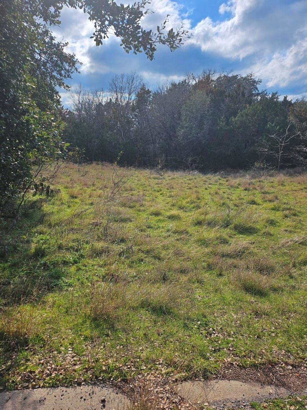 37044 Wood Acre Dr, Whitney, TX 76692 - photo 1