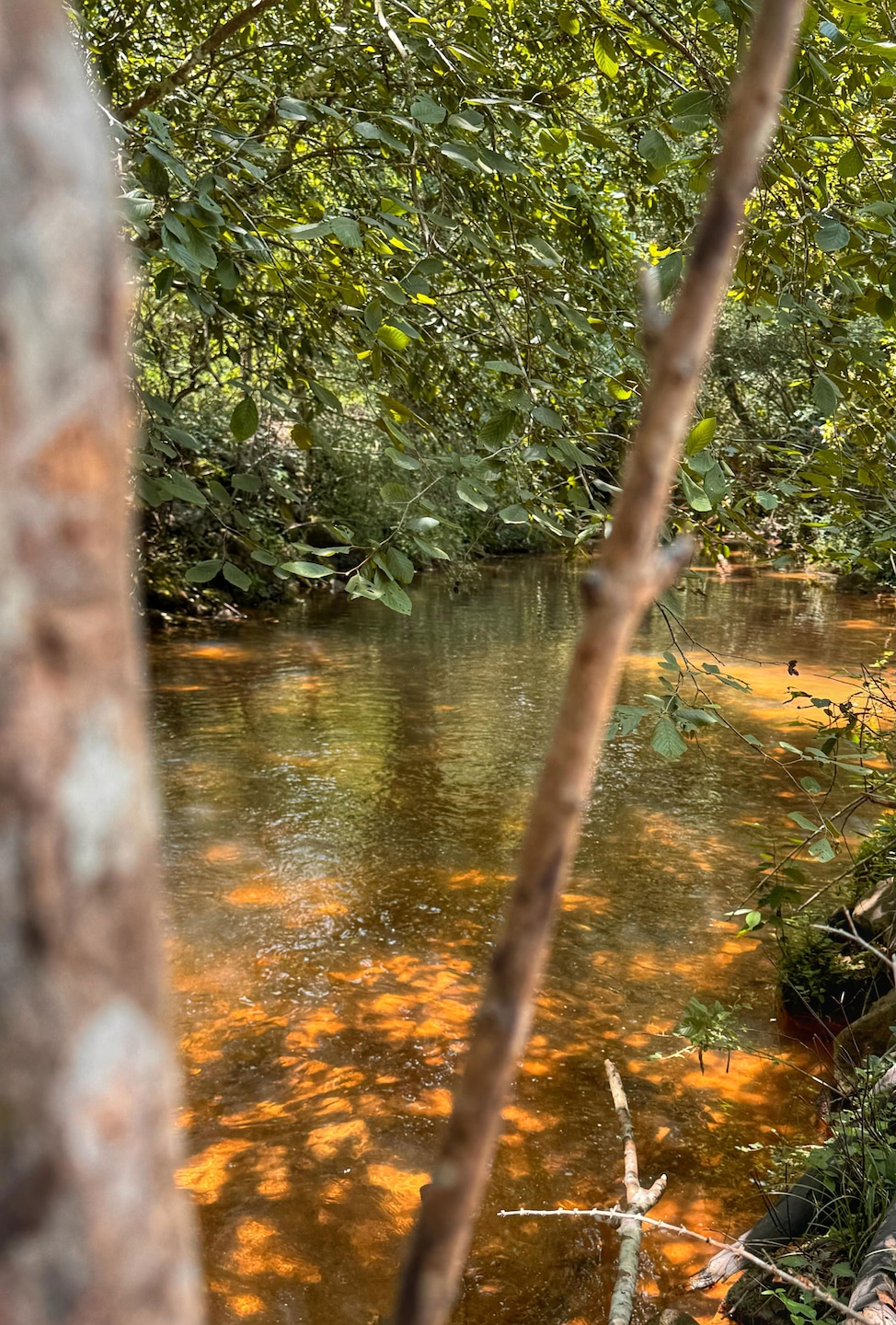 0 Smith Rd, Winfield, AL 35594 - photo 1