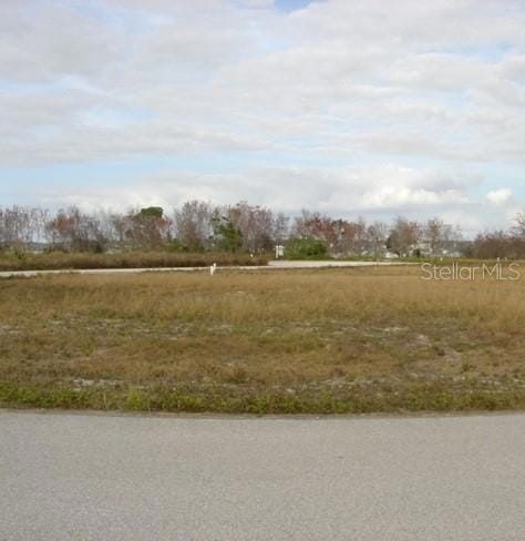 0 Sawgrass Run unit MFRR4907403, Tavares, FL 32778 - photo 1