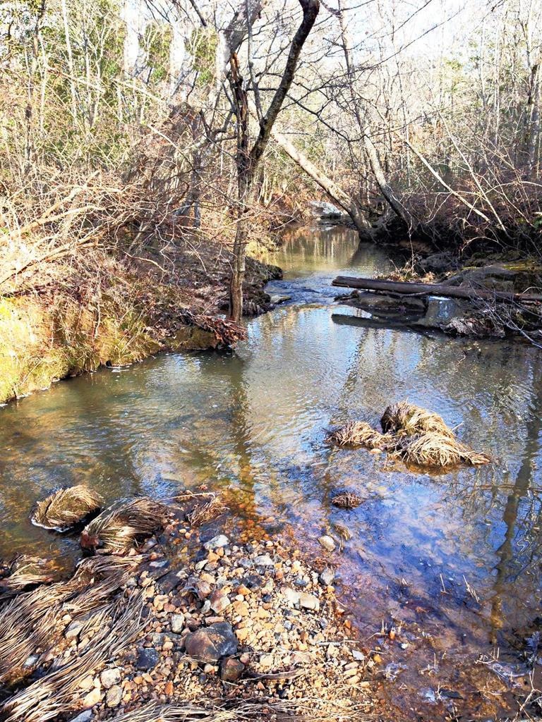 20.62 AC Stoney Cross Rd, Chase City, VA 23924 - photo 1