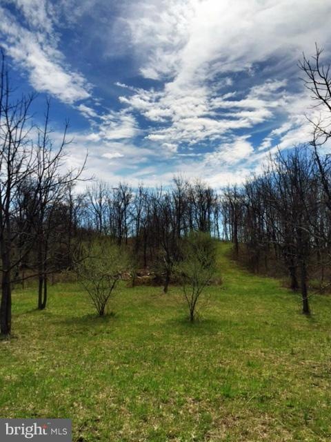 15 Cattail Rd, Winchester, VA 22603 - photo 1