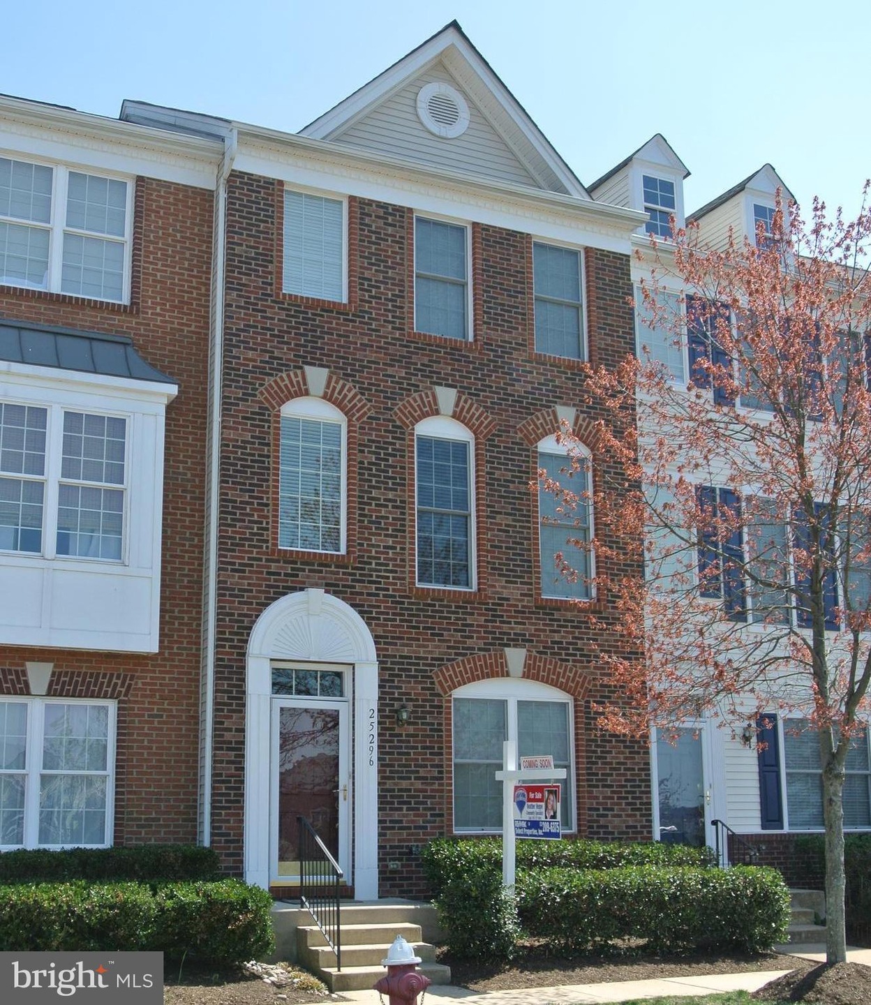 25296 Shipley Terrace, Chantilly, VA 20152 - photo 1