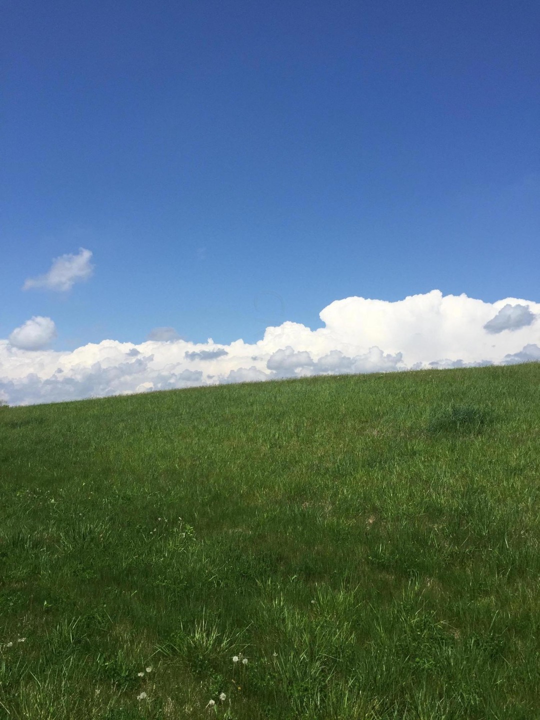 104 Whitetail Ridge - Copy