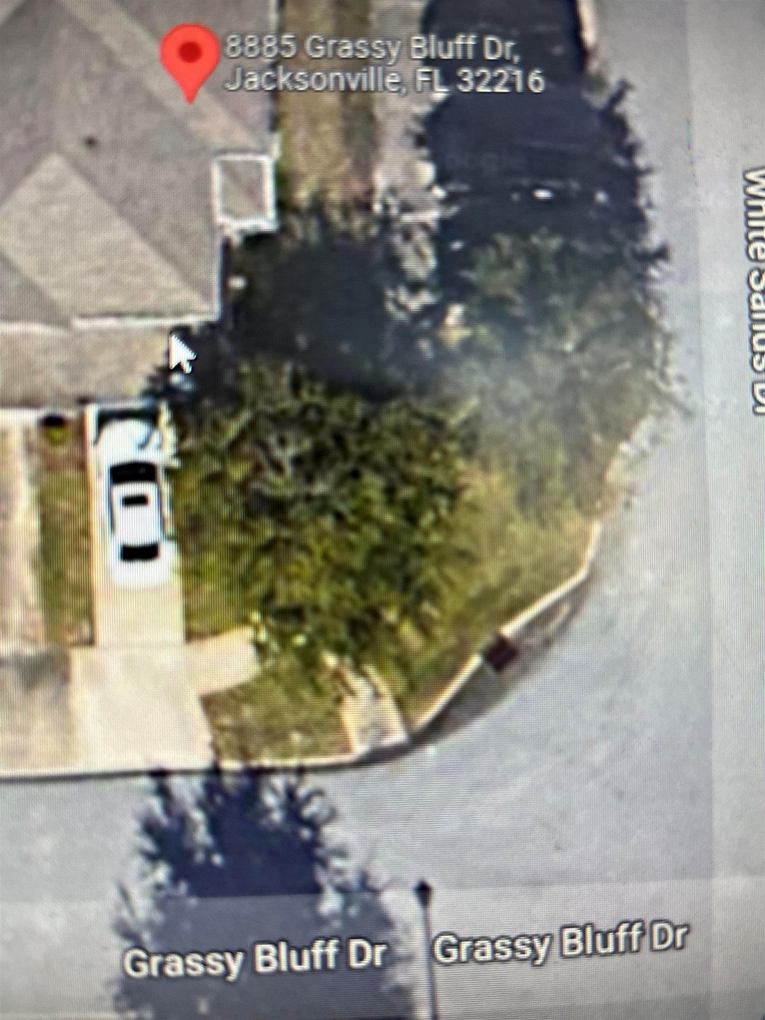 8885 Grassy Bluff Dr, Jacksonville, FL 32216 - photo 1