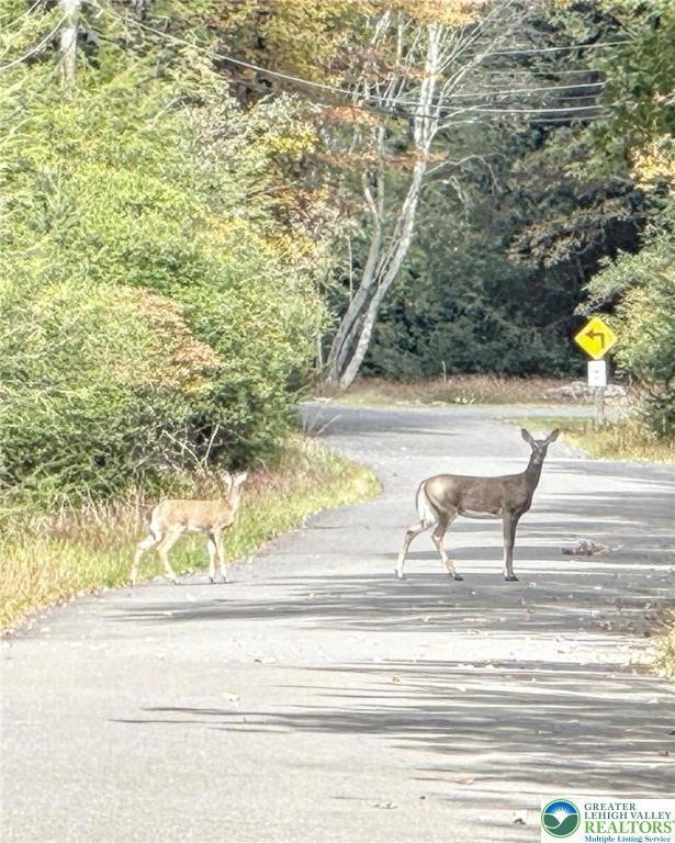 Not an actual picture of the property