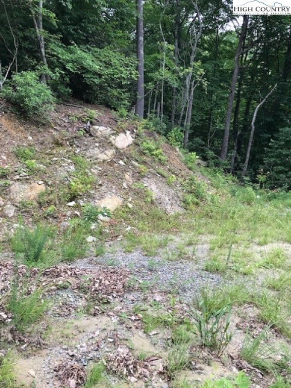 TBD Sheets Gap Rd, Millers Creek, NC 28654 - photo 1