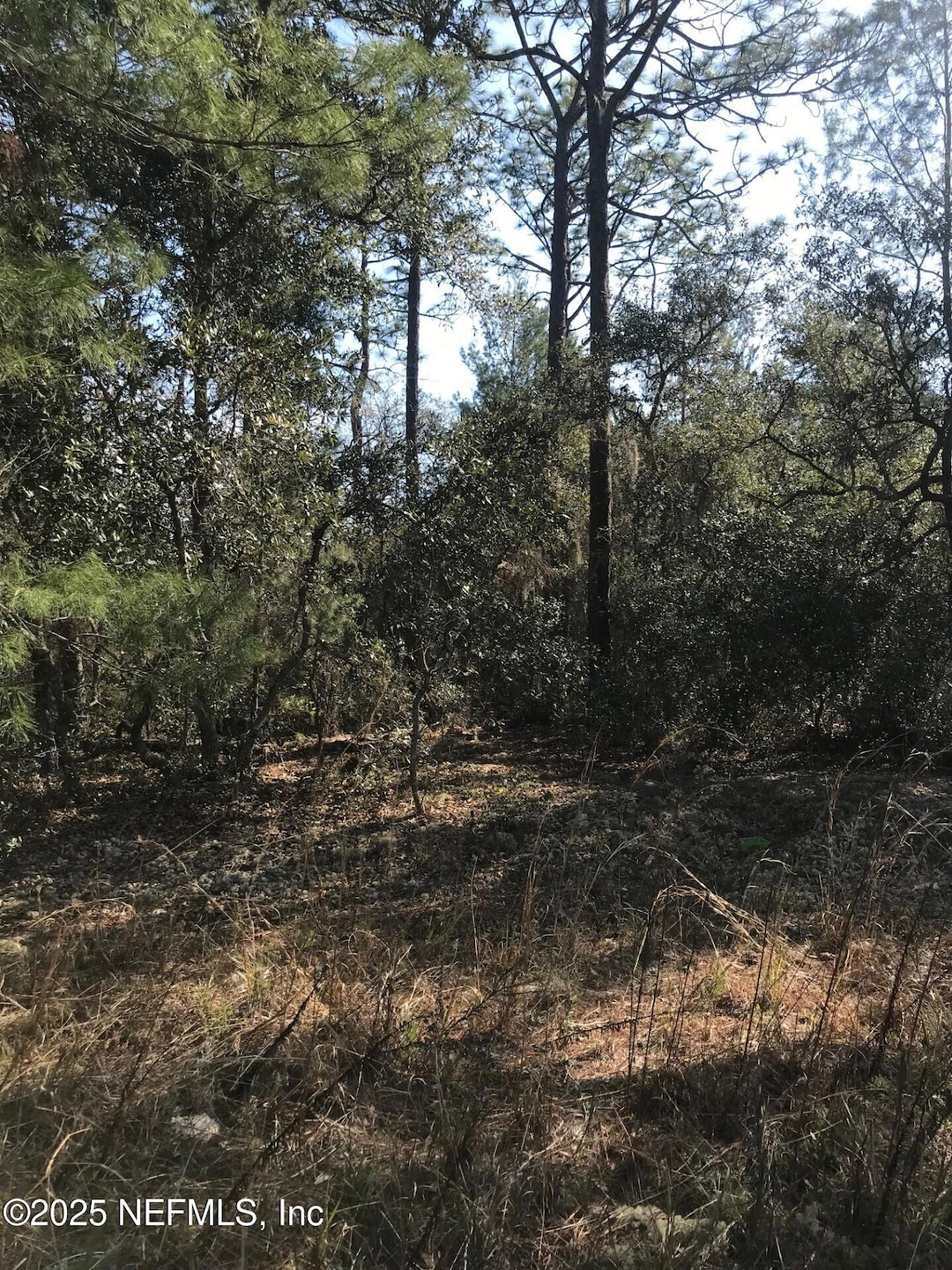 404 Mourning Dove Rd, Satsuma, FL 32189 - photo 1