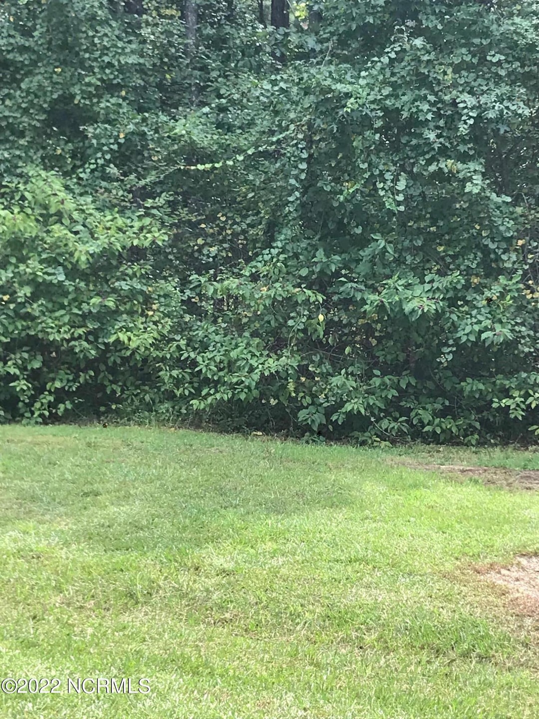 305 Winfall, Edenton, NC 27932 - photo 1