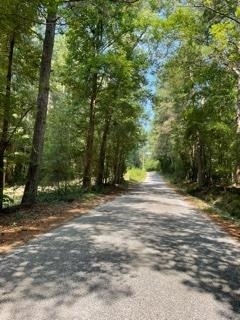 0 Curk Roberts Rd unit 9025874, Braselton, GA 30517 - photo 1