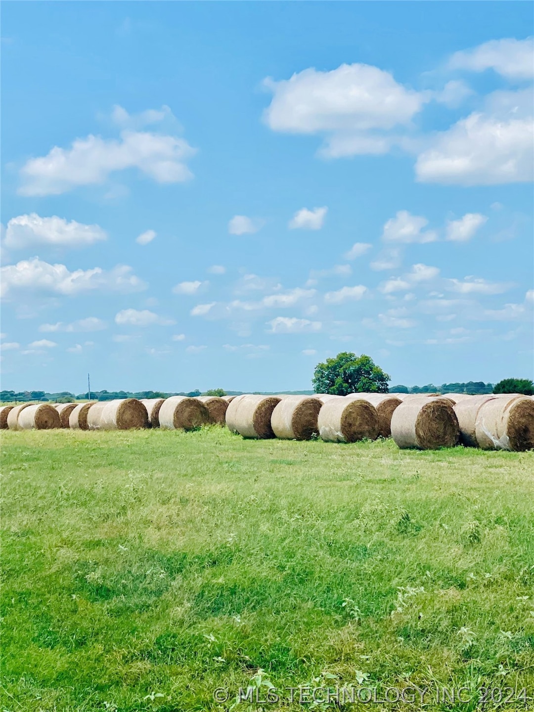 Productive hay meadows
