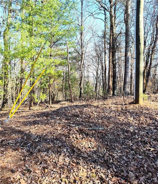 View of landscape featuring a view of trees